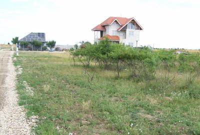 Teren Construcții intravilan de 4394 mp, în Domnești - 7