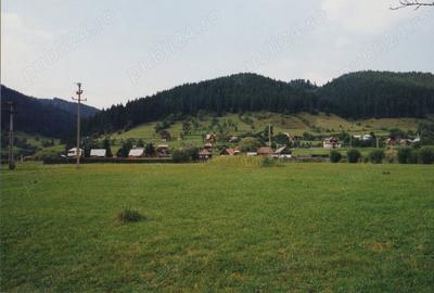 Teren de 7000 mp, în Lunca - 4