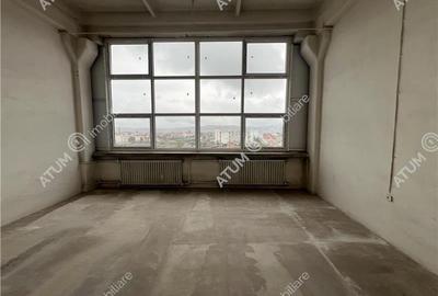 Hala industriala compartimentata in 5 spatii situat in zona Centrala - 13