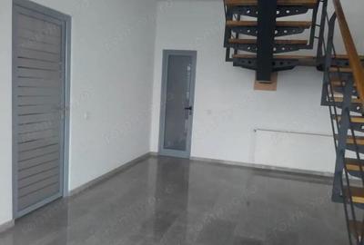 Spațiu comercial, de 3,300 mp, în Theodor Pallady - 3