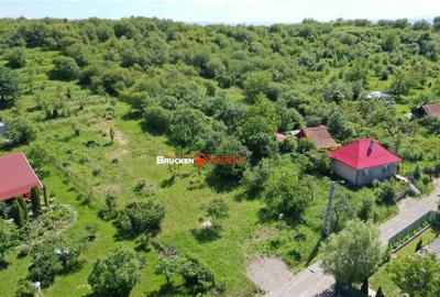 Teren de 2878 mp, în Podgoria - 3