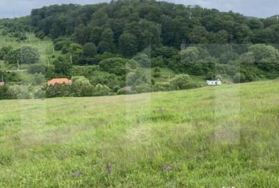 Teren de 500 mp, în Simeria - 5