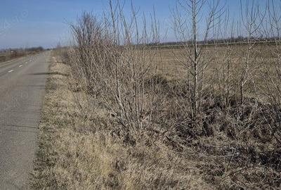 Teren de 36800 mp, în Scutelnici - 2