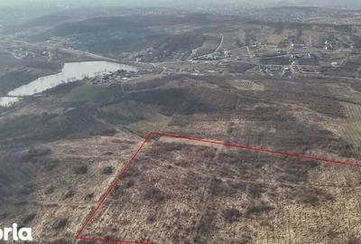 Teren de 26587 mp, în Iorga - 2