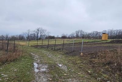 Spațiu comercial, în Chicerea - 3