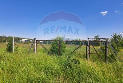 Teren 1064 mp Izvorani langa padure zona Complex Olimpic - 2