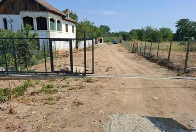 Teren de 2290 mp, în Coșoveni - 3