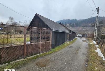 Casă cu 4 camere decomandat cu Teren 500 Mp în Roșia Montană - 3