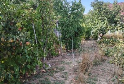 Vand casa la tara - 16