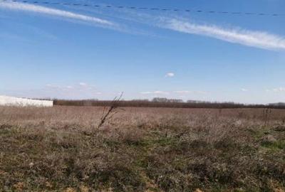 Teren Jiana Veche, Comuna Jiana, jud. Mehedinti-18.02 - 4