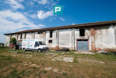 Hală industrială cu teren generos în Zărand, Arad - 11