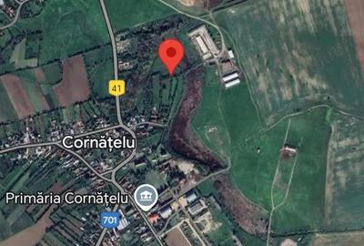 Teren de 5452 mp, în Cornățelu