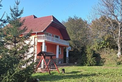 Casa de vanzare tip vila - 1