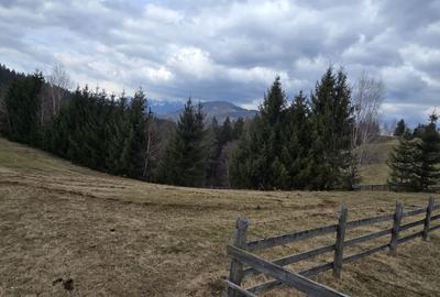 Teren Construcții intravilan de 3040 mp, în Bran - 6