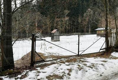 Teren de 3386 mp, în Borca - 3