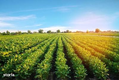 Spațiu comercial, în Sebeșel - 1