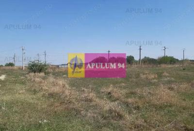 Teren de 1730 mp, în 1 Decembrie - 4