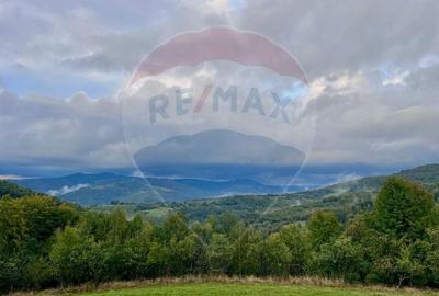 Teren Construcții intravilan de 7350 mp, în Bulz - 1