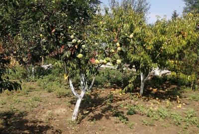 Casă cu 3 camere în Beștepe