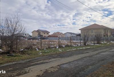 Spațiu comercial, în Ghiroda - 8