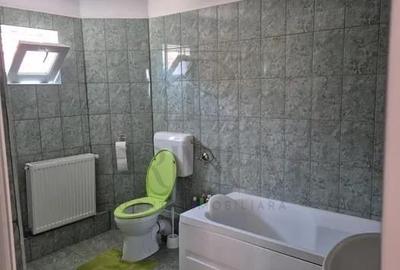Sanmihaiul Roman- partial mobilata si utilata-toate utilitatile- iluminat strada - 3