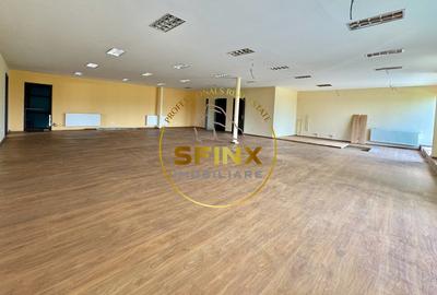 Hala si birouri zona Mogosoaia sos Odai - 8