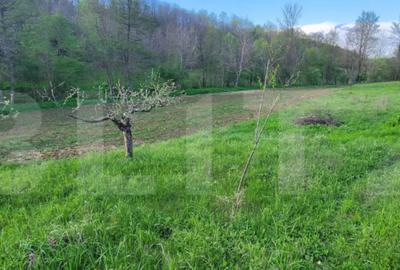 Teren de 6659 mp, în Nisipoasa - 2