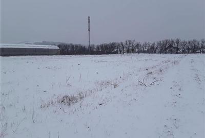 Teren de 7800 mp, în Central - 4