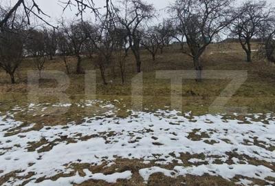 Spațiu comercial, în Cheia - 4
