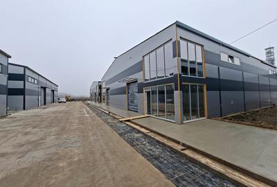 Hala 600mp in Stefanestii de Jos - 1