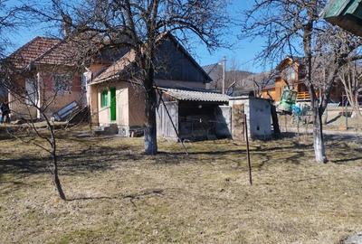 Casă cu Teren 2414 Mp în Voșlăbeni - 7