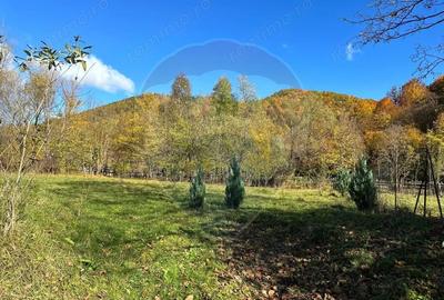 Teren de 1350 mp, în Gârcina - 7