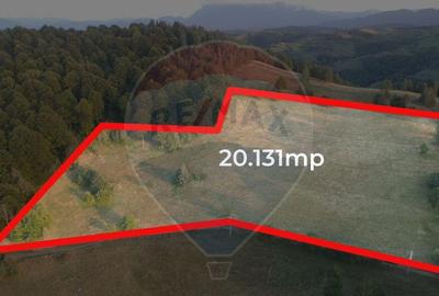 Teren 20,131 mp/Extravilan/Poiana Marului - 4