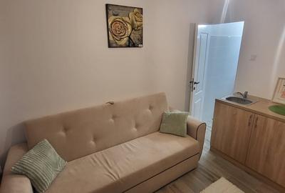 Garsonieră de închiriat – 15 mp utili – Prima închiriere – Zona Dâmbovița - 3