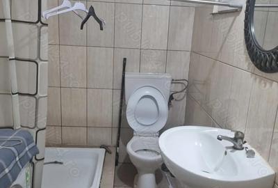 Garsonieră nedecomandată în Șagului