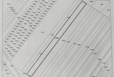 Spațiu comercial, în Petrăchioaia - 1