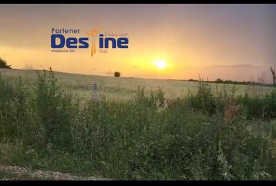 TEREN INTRAVILAN 10.000 MP, CATAMARESTI DEAL, BOTOSANI - 2