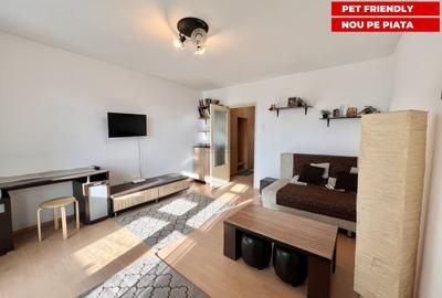 Garsonieră decomandată, mobilată în Costin Georgian - 1