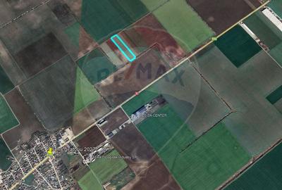 Teren de 11295 mp, în Afumați