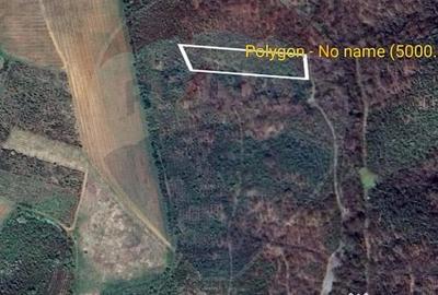 Teren de 5000 mp, în Păuliș - 1