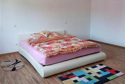 2 Case de vanzare langa liceu in Talmaciu - 2