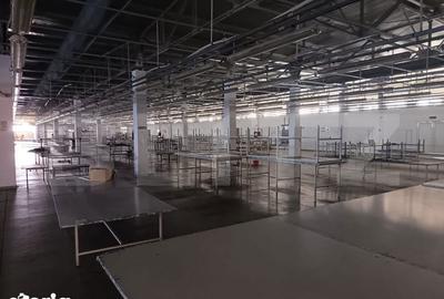 Spațiu comercial, de 5,800 mp, în Boldești - 16