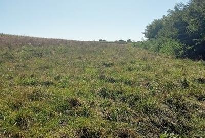 Teren intravilan cu suprafață de 1800m² Saucenița com Văculești - 2