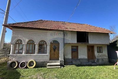 Casa de vanzare in Schitu-Golesti - 2