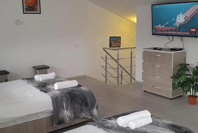Casă cu 1 camere cu Teren 1000 Mp în Secăria - 8