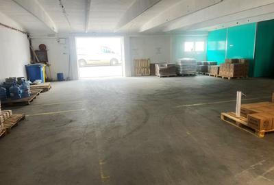 Spațiu industrial, de 300 mp, în Est - 3