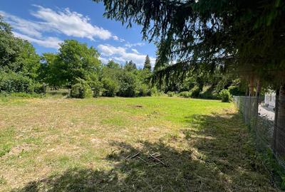 Teren intravilan 1200 mp – Valea Avrigului - 3