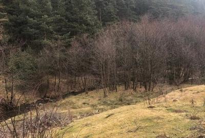 Case de vacanta zona Rasinari - 5