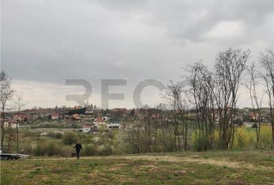 Teren de 2900 mp, în Paleu - 12