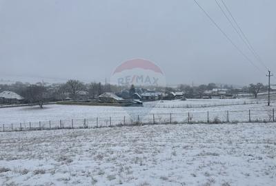 Teren Construcții intravilan de 8300 mp, în Negrești (Dobreni) - 5